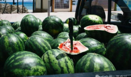 山东吃瓜爆料事件真相,揭秘背后真相与争议